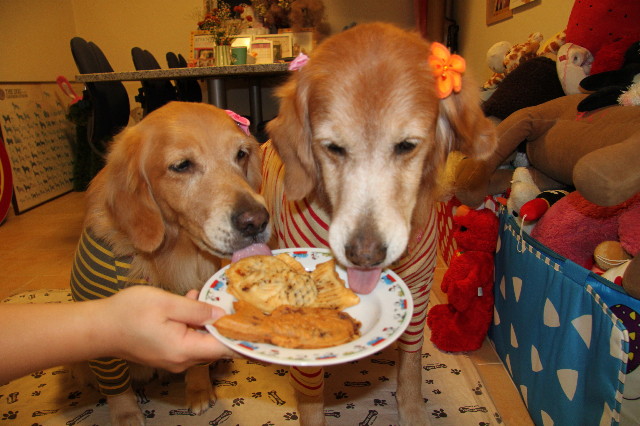 ファイル 2083-3.jpg