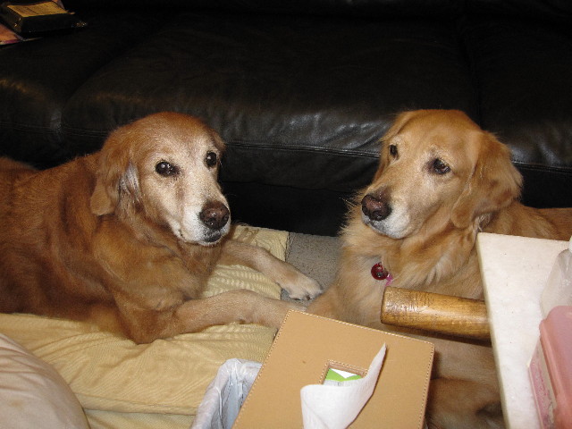 ファイル 2084-2.jpg