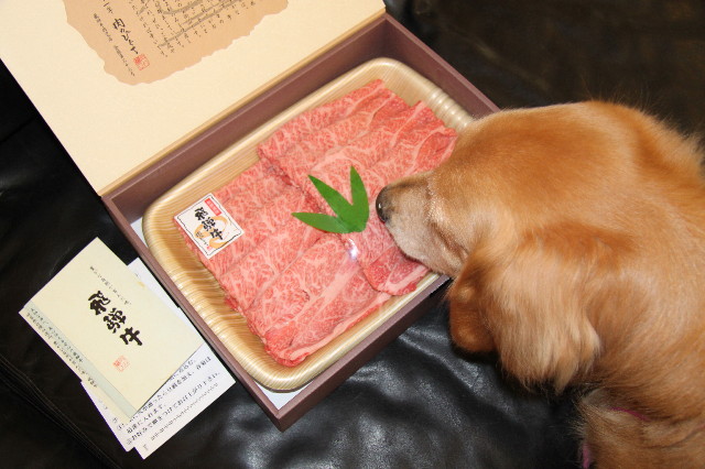 ファイル 2084-4.jpg