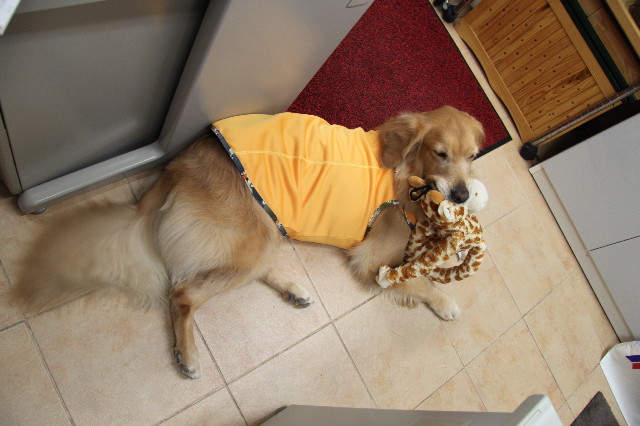 ファイル 2084-5.jpg