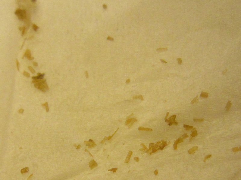 ファイル 2085-2.jpg