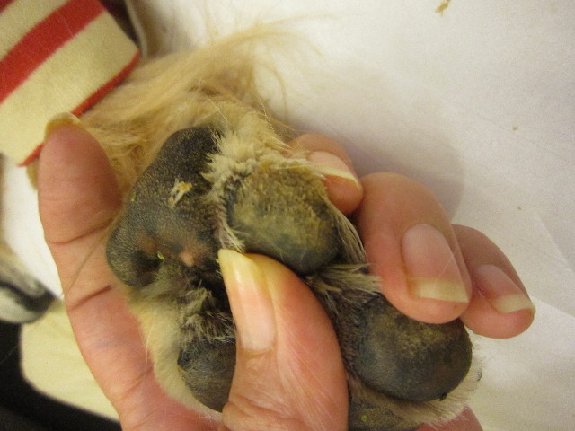 ファイル 2085-5.jpg