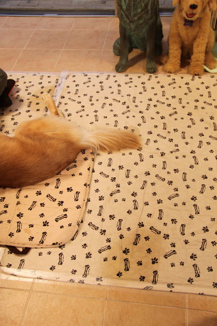 ファイル 2086-2.jpg