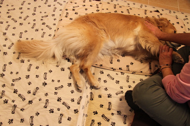 ファイル 2086-3.jpg