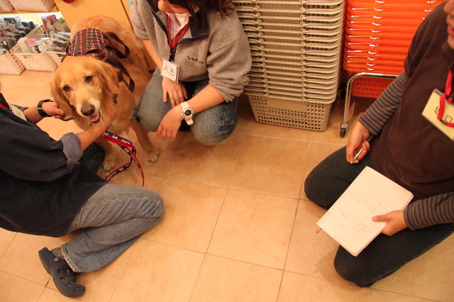 ファイル 2086-4.jpg