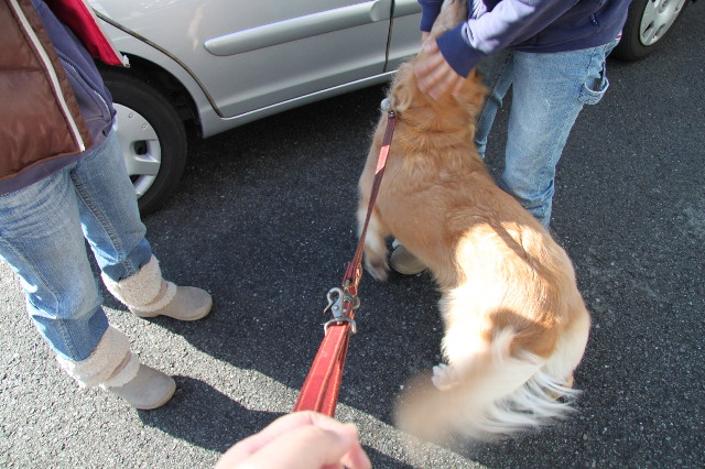 ファイル 2089-5.jpg