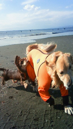 ファイル 2091-2.jpg