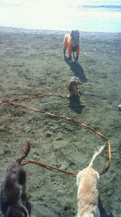 ファイル 2091-4.jpg