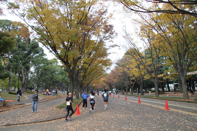 ファイル 2092-3.jpg