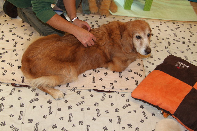 ファイル 2093-2.jpg