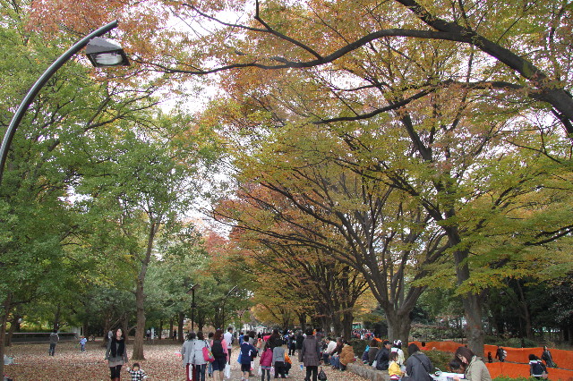 ファイル 2095-1.jpg