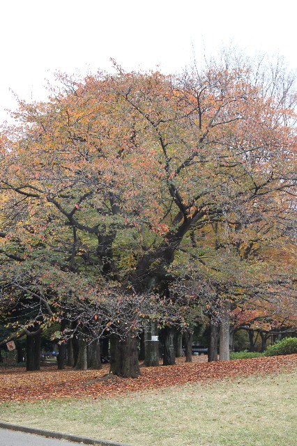 ファイル 2095-3.jpg