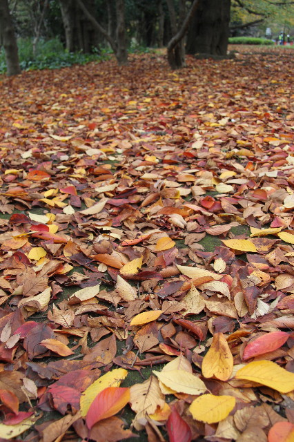 ファイル 2095-4.jpg