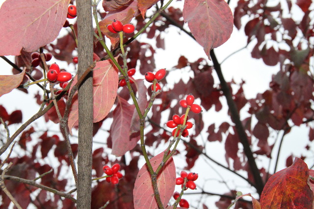 ファイル 2097-3.jpg