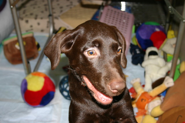 ファイル 210-1.jpg