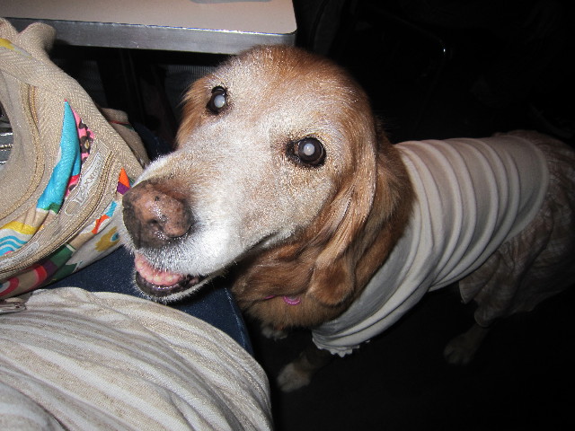 ファイル 2101-4.jpg