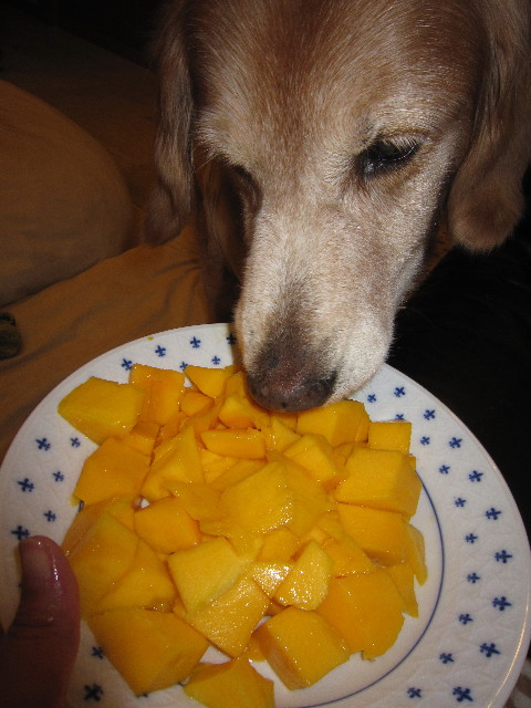 ファイル 2101-5.jpg