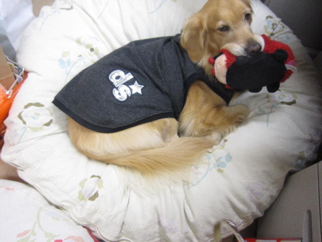 ファイル 2105-3.jpg