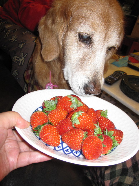 ファイル 2108-3.jpg