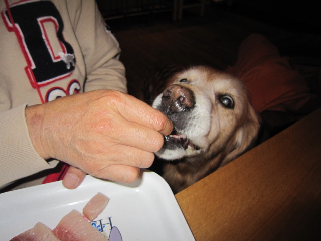 ファイル 2109-2.jpg