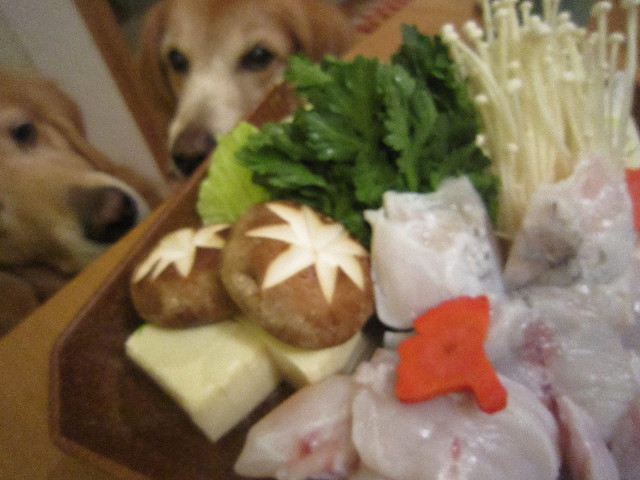 ファイル 2109-3.jpg