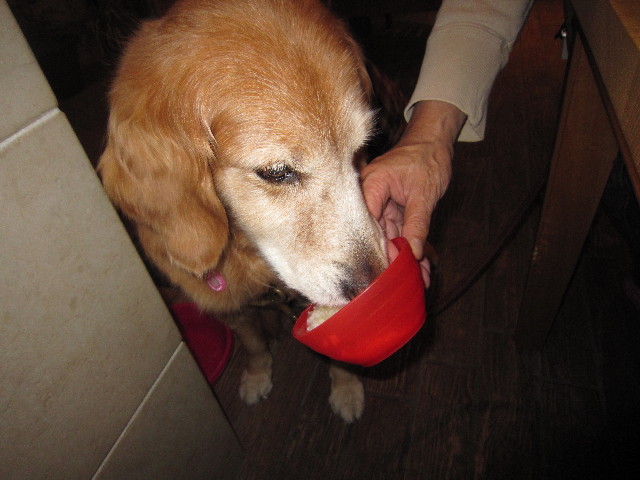 ファイル 2109-5.jpg