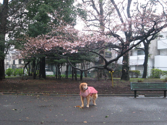 ファイル 211-1.jpg