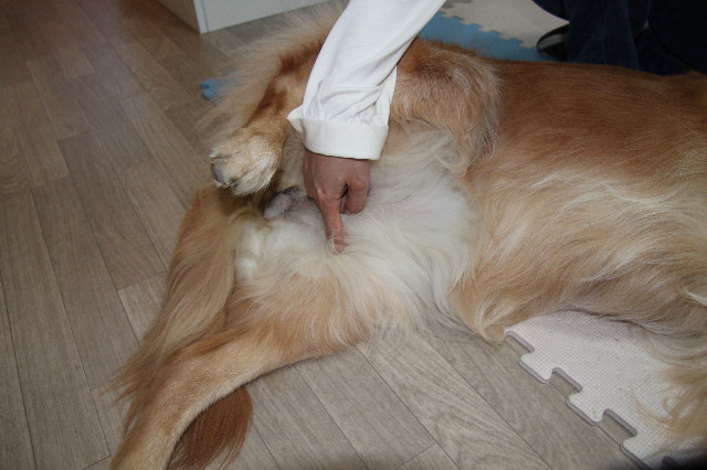 ファイル 2110-2.jpg