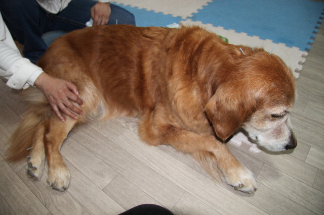 ファイル 2110-3.jpg