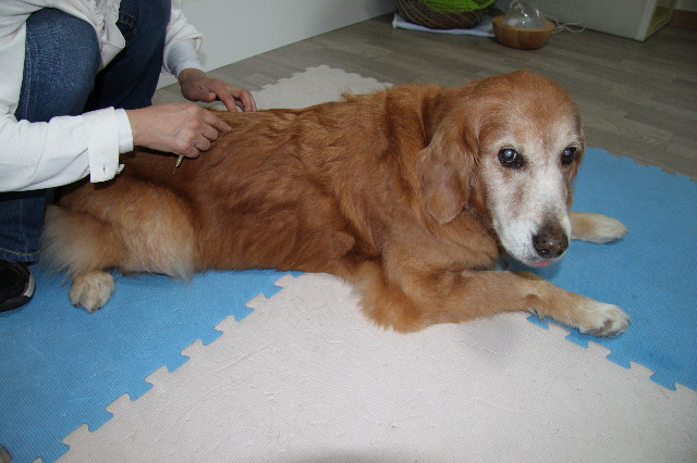 ファイル 2110-4.jpg