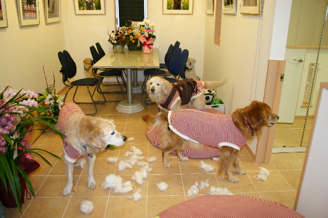 ファイル 2111-4.jpg