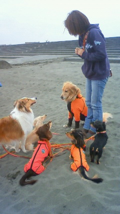 ファイル 2112-2.jpg