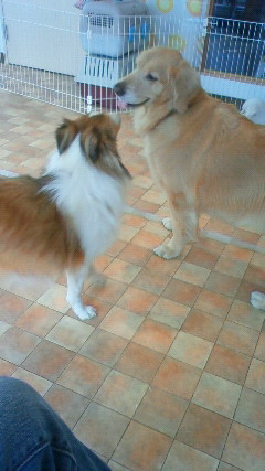 ファイル 2112-5.jpg