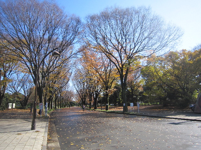 ファイル 2113-1.jpg