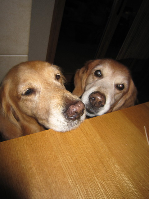 ファイル 2113-4.jpg