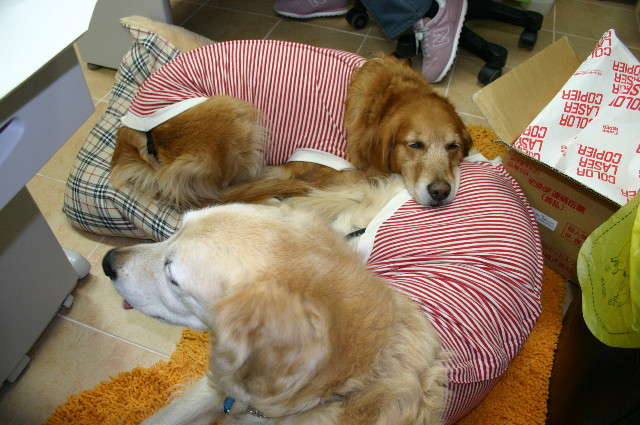 ファイル 2114-3.jpg