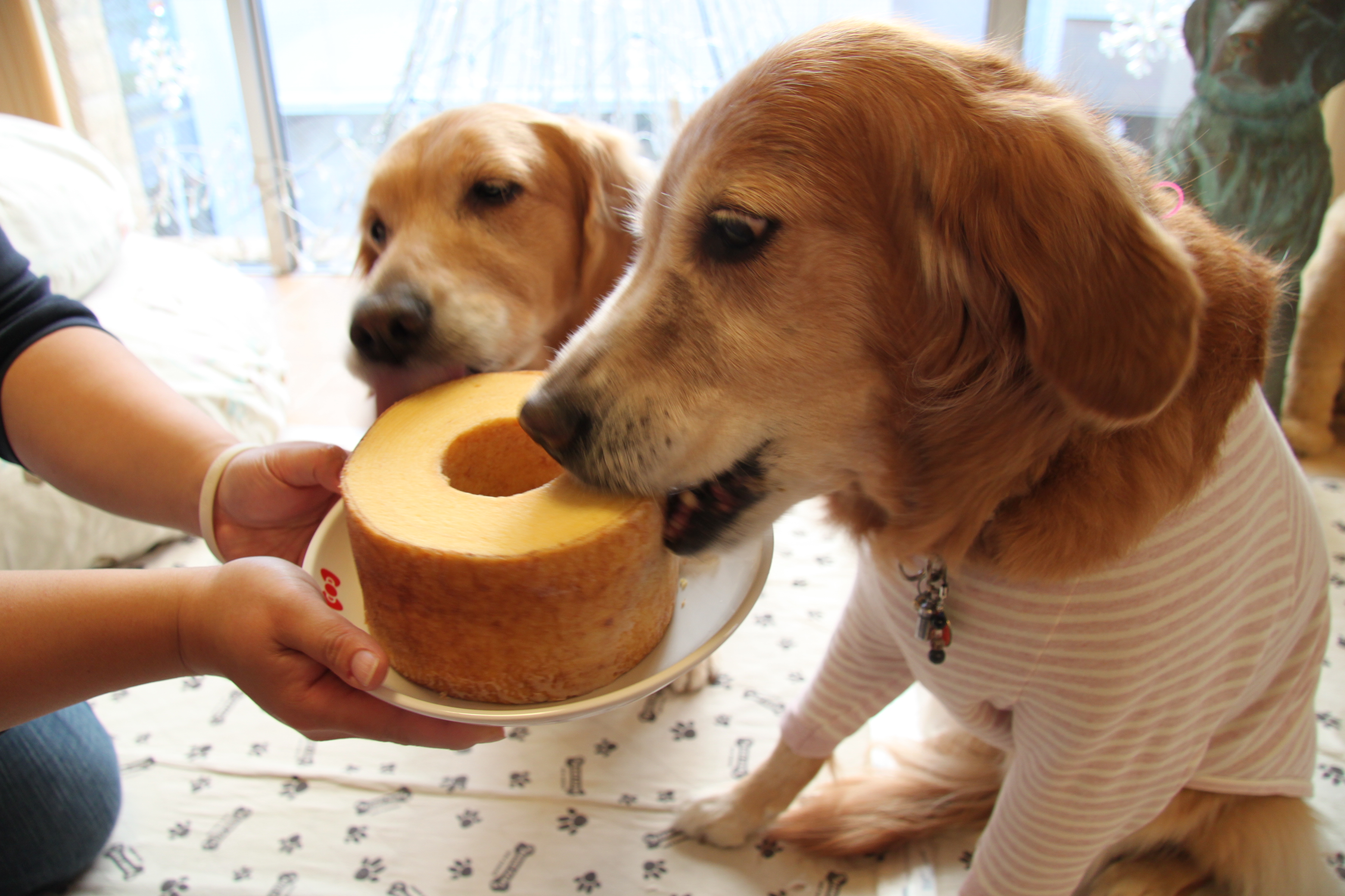 ファイル 2115-3.jpg