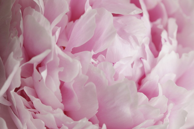 ファイル 2115-5.jpg