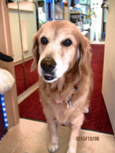 ファイル 2116-2.jpg