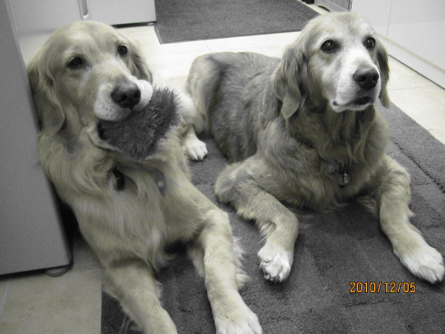 ファイル 2116-3.jpg