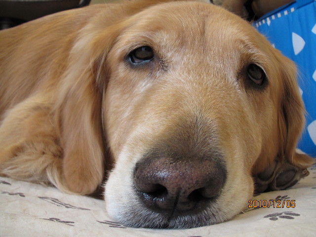 ファイル 2116-4.jpg