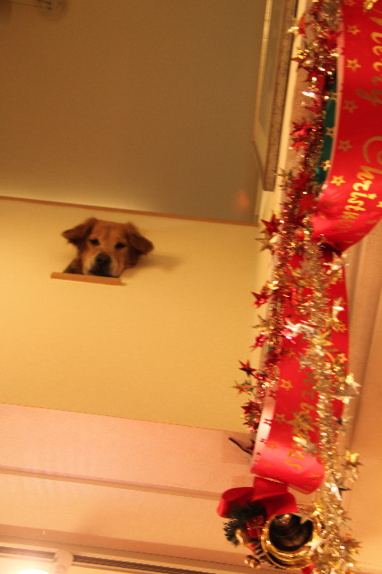 ファイル 2117-4.jpg