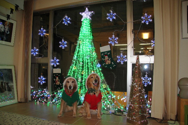 ファイル 2117-5.jpg