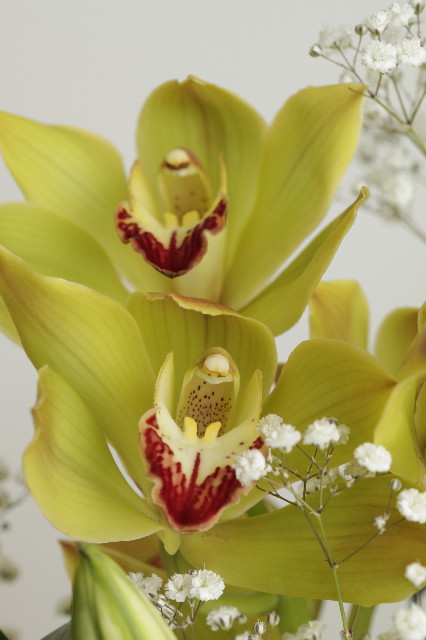 ファイル 2118-1.jpg