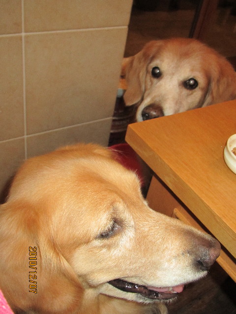 ファイル 2120-5.jpg