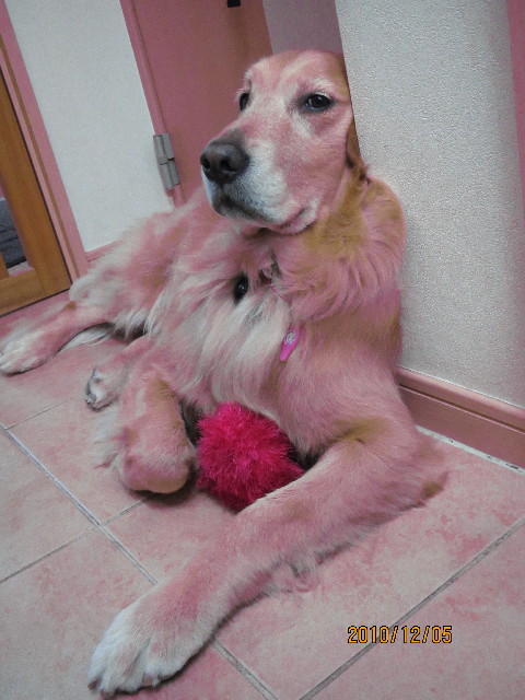 ファイル 2121-2.jpg