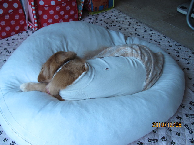 ファイル 2121-4.jpg