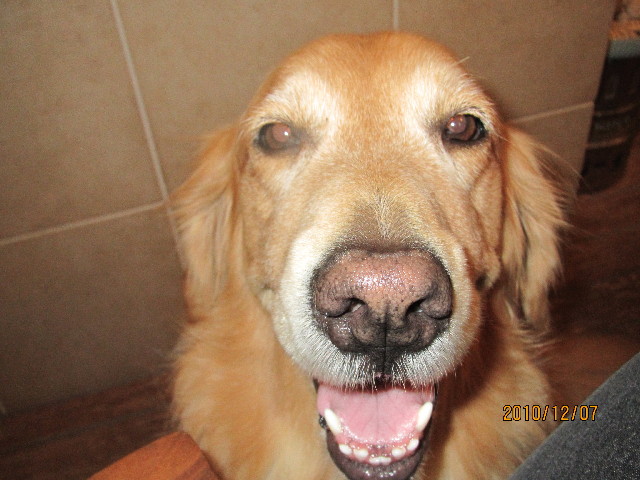 ファイル 2121-5.jpg