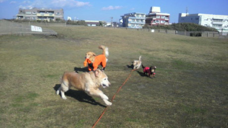 ファイル 2122-3.jpg