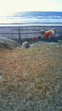 ファイル 2122-5.jpg